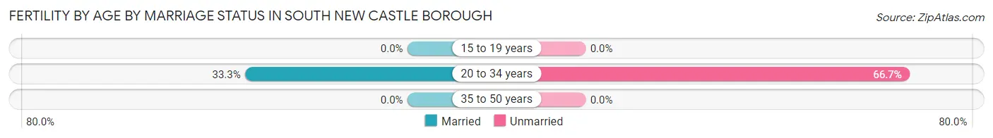Female Fertility by Age by Marriage Status in South New Castle borough