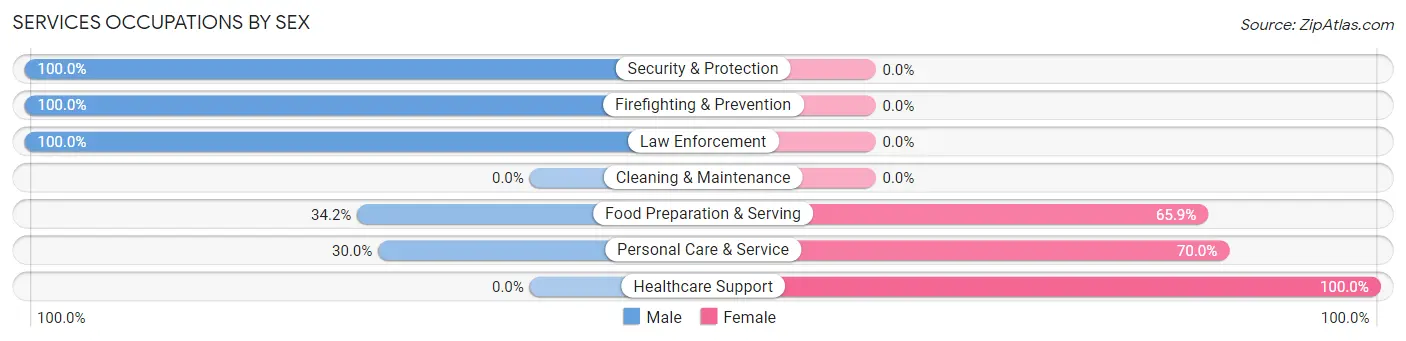Services Occupations by Sex in South New Castle borough
