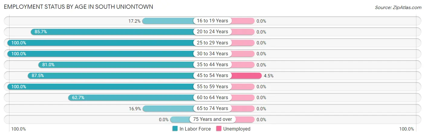 Employment Status by Age in South Uniontown
