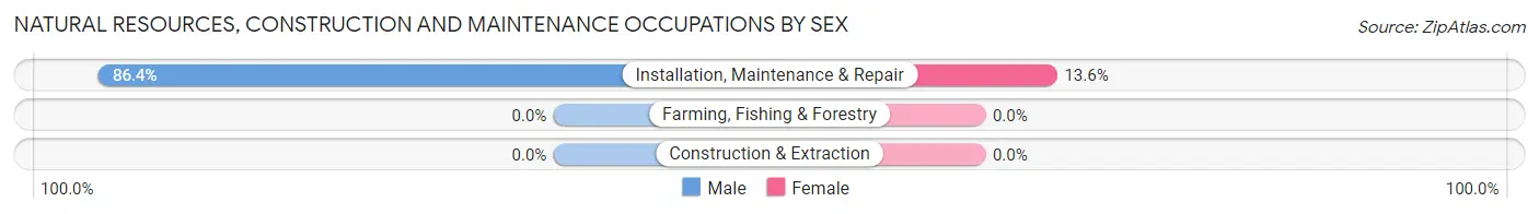 Natural Resources, Construction and Maintenance Occupations by Sex in South Uniontown