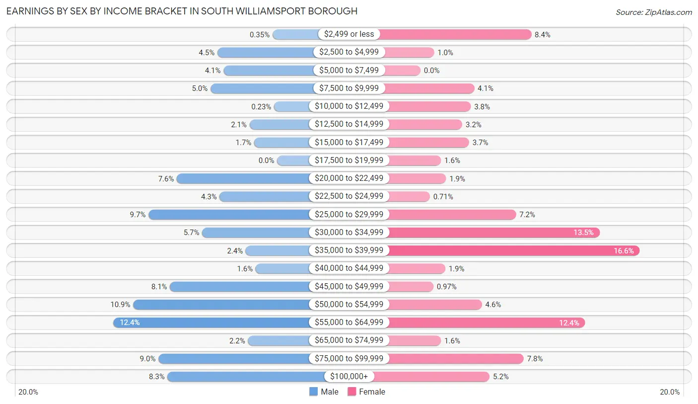 Earnings by Sex by Income Bracket in South Williamsport borough