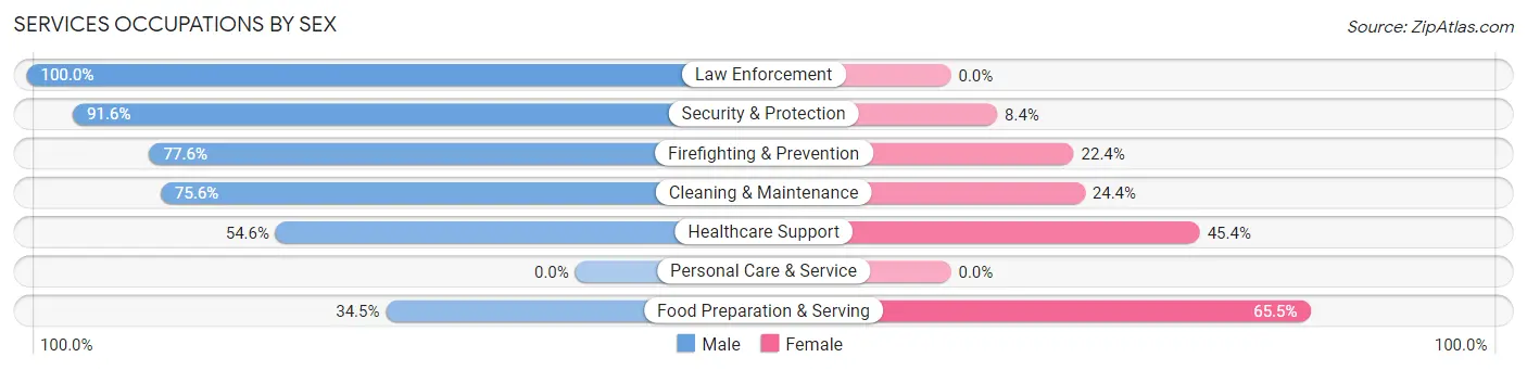 Services Occupations by Sex in South Williamsport borough