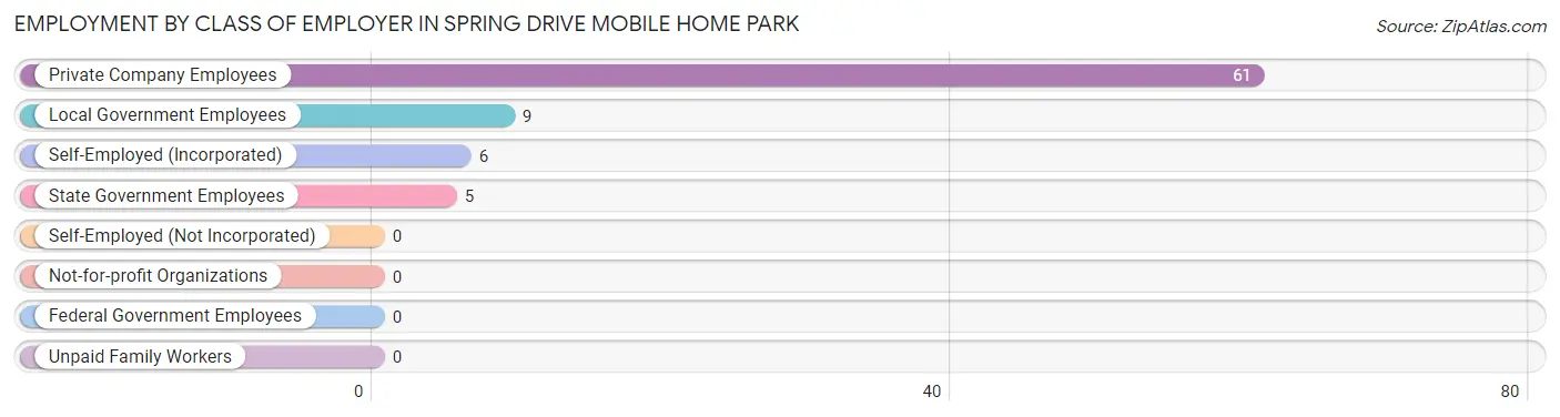Employment by Class of Employer in Spring Drive Mobile Home Park