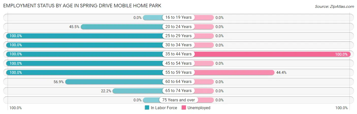 Employment Status by Age in Spring Drive Mobile Home Park