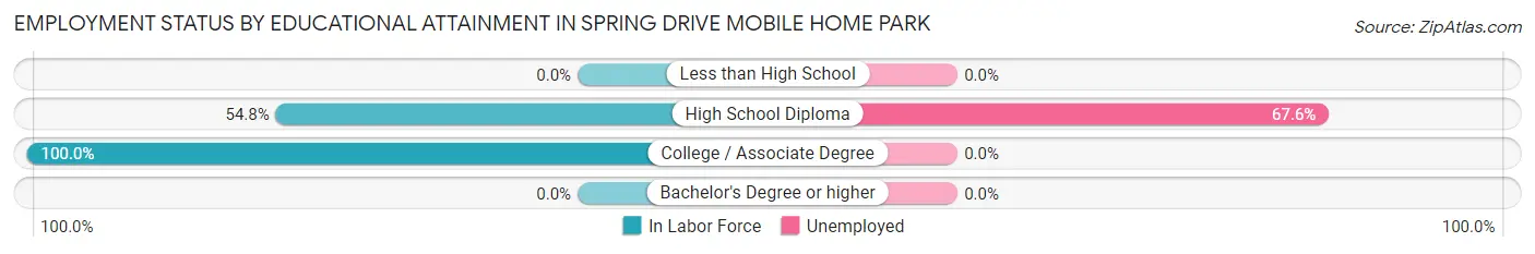 Employment Status by Educational Attainment in Spring Drive Mobile Home Park