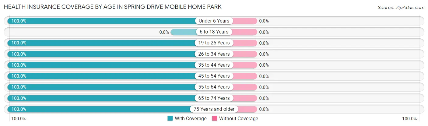 Health Insurance Coverage by Age in Spring Drive Mobile Home Park
