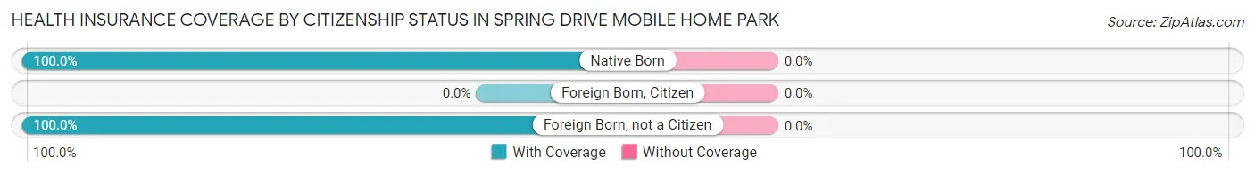Health Insurance Coverage by Citizenship Status in Spring Drive Mobile Home Park