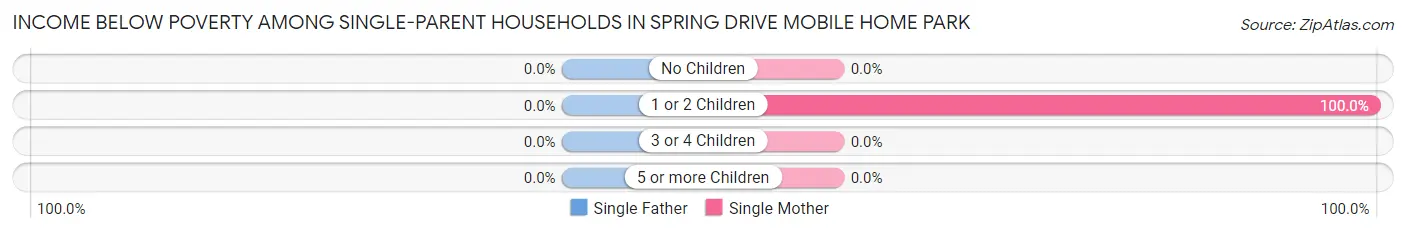 Income Below Poverty Among Single-Parent Households in Spring Drive Mobile Home Park