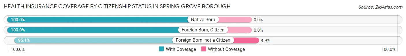 Health Insurance Coverage by Citizenship Status in Spring Grove borough