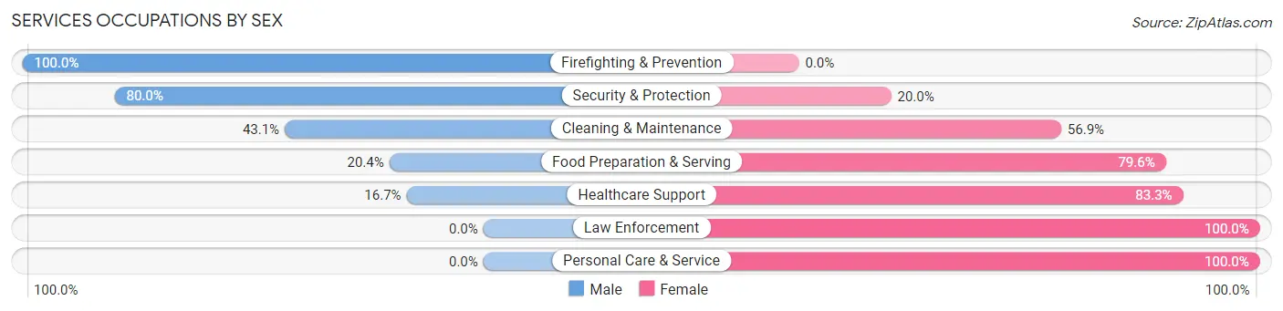 Services Occupations by Sex in Spring Grove borough