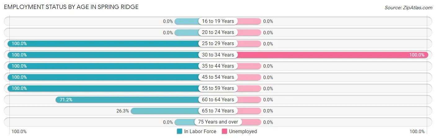 Employment Status by Age in Spring Ridge