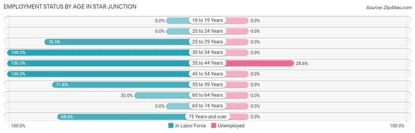 Employment Status by Age in Star Junction
