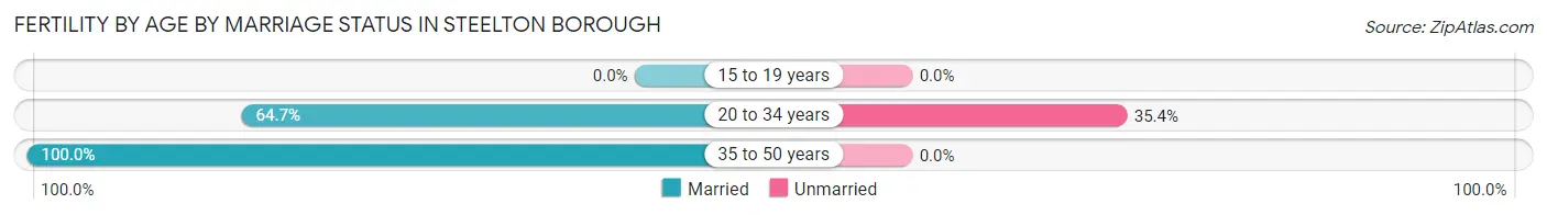 Female Fertility by Age by Marriage Status in Steelton borough