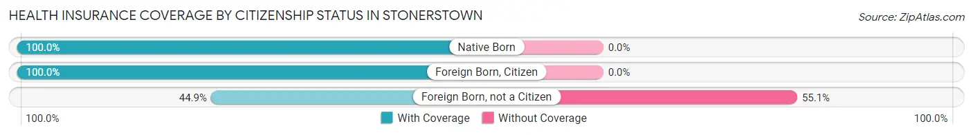 Health Insurance Coverage by Citizenship Status in Stonerstown