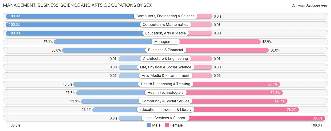 Management, Business, Science and Arts Occupations by Sex in Stoystown borough