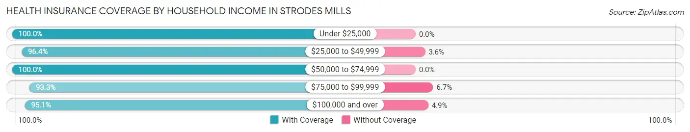 Health Insurance Coverage by Household Income in Strodes Mills