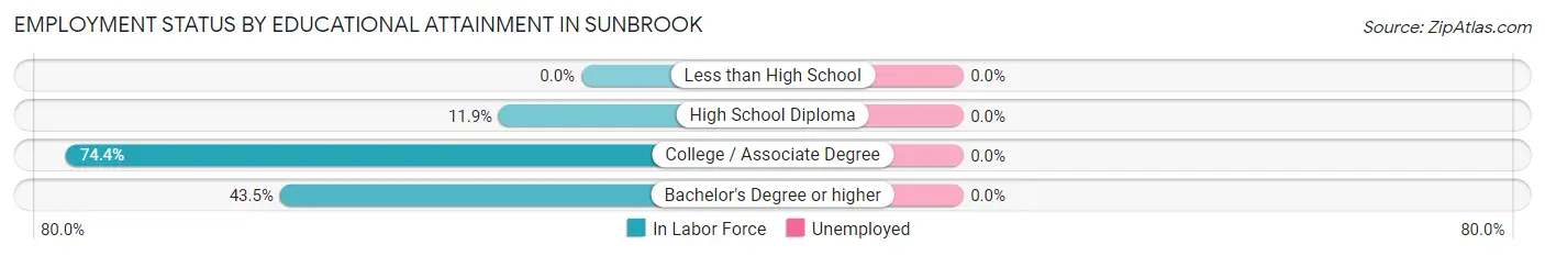 Employment Status by Educational Attainment in Sunbrook