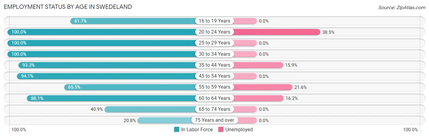 Employment Status by Age in Swedeland