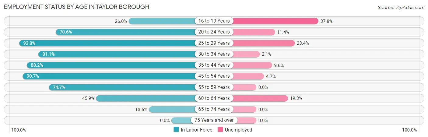 Employment Status by Age in Taylor borough