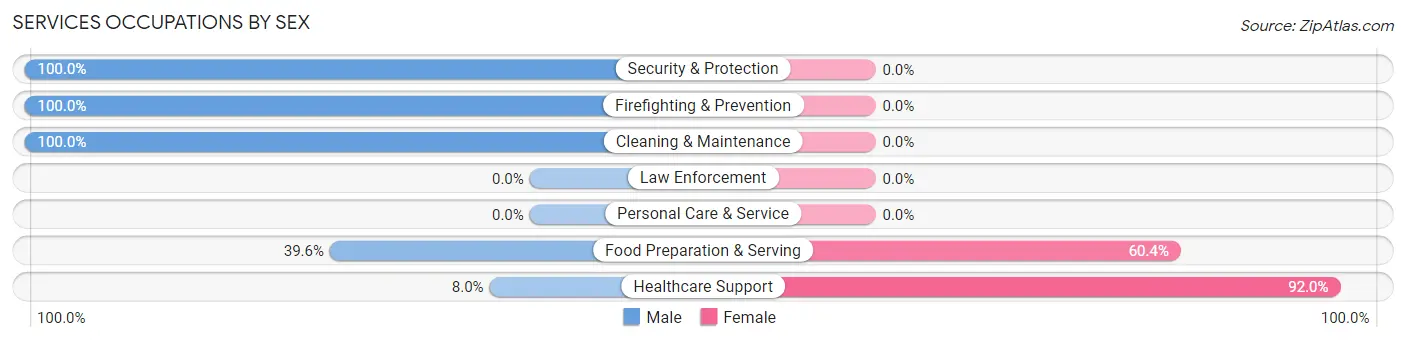 Services Occupations by Sex in Taylor borough