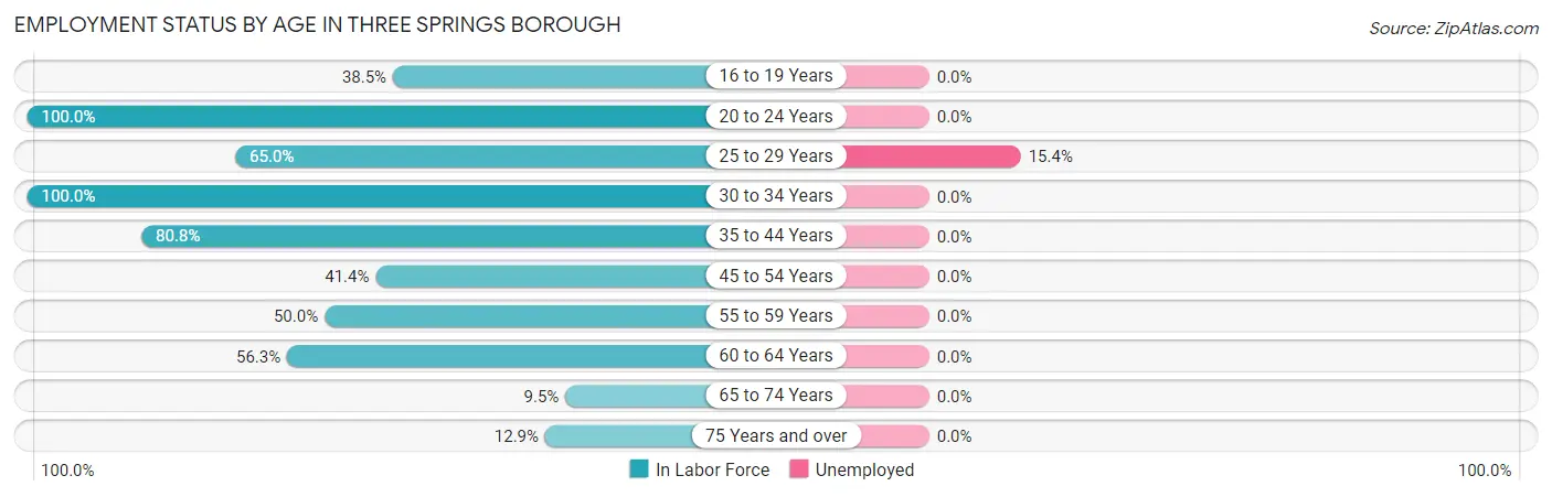 Employment Status by Age in Three Springs borough