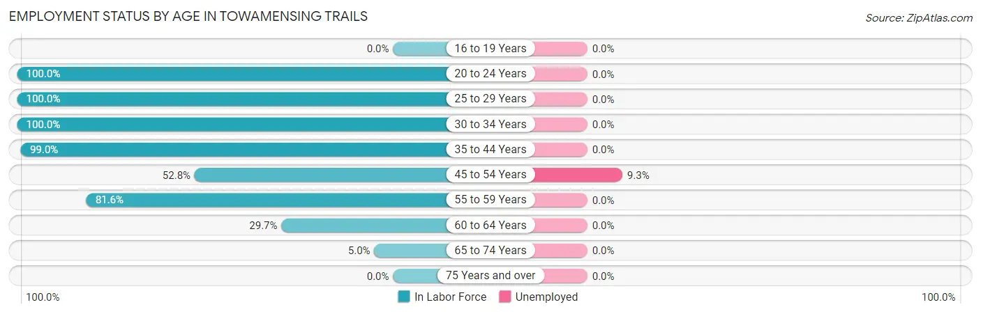 Employment Status by Age in Towamensing Trails