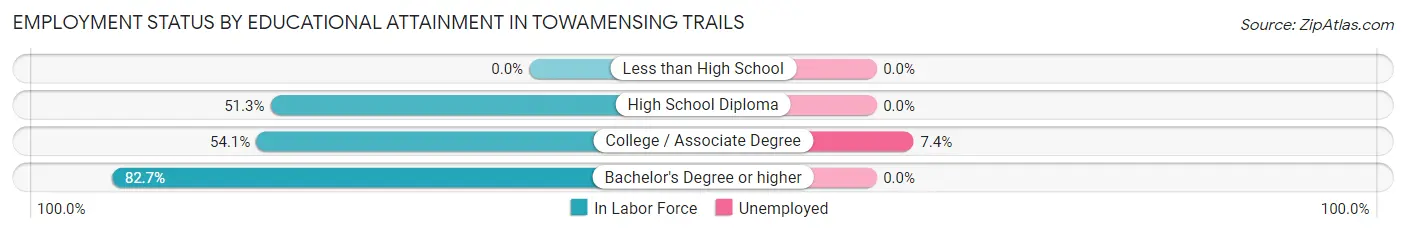 Employment Status by Educational Attainment in Towamensing Trails