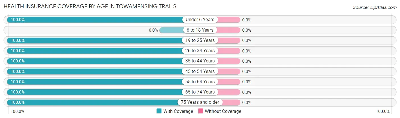 Health Insurance Coverage by Age in Towamensing Trails