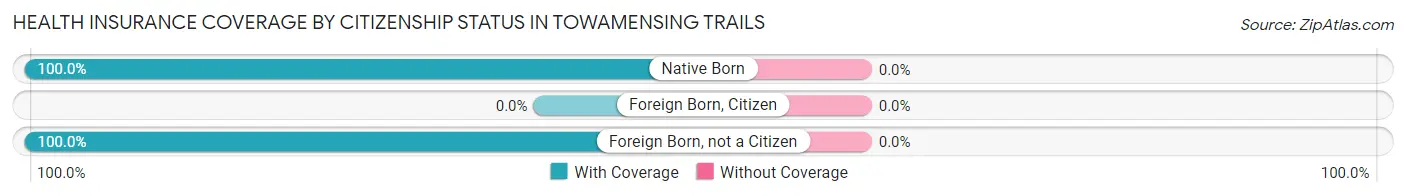 Health Insurance Coverage by Citizenship Status in Towamensing Trails