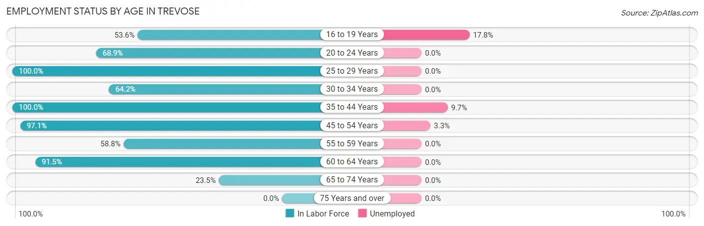 Employment Status by Age in Trevose