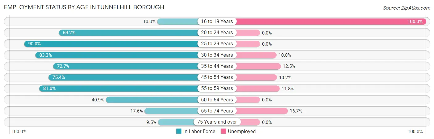 Employment Status by Age in Tunnelhill borough