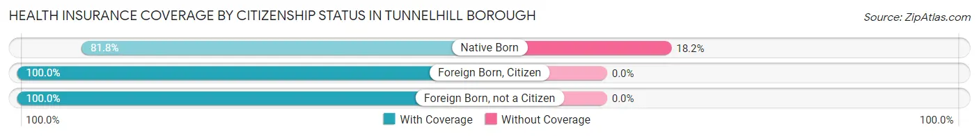 Health Insurance Coverage by Citizenship Status in Tunnelhill borough