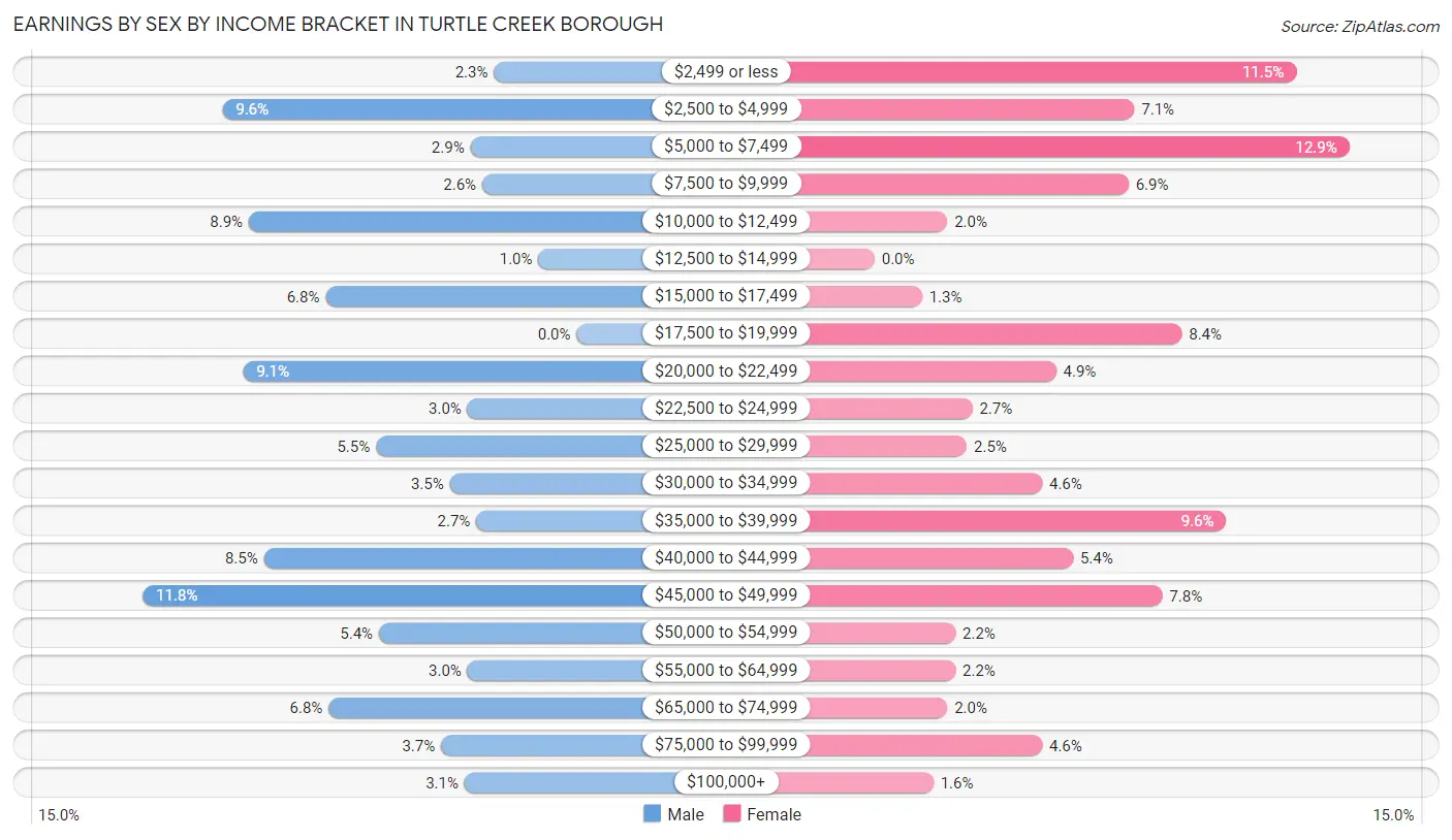 Earnings by Sex by Income Bracket in Turtle Creek borough