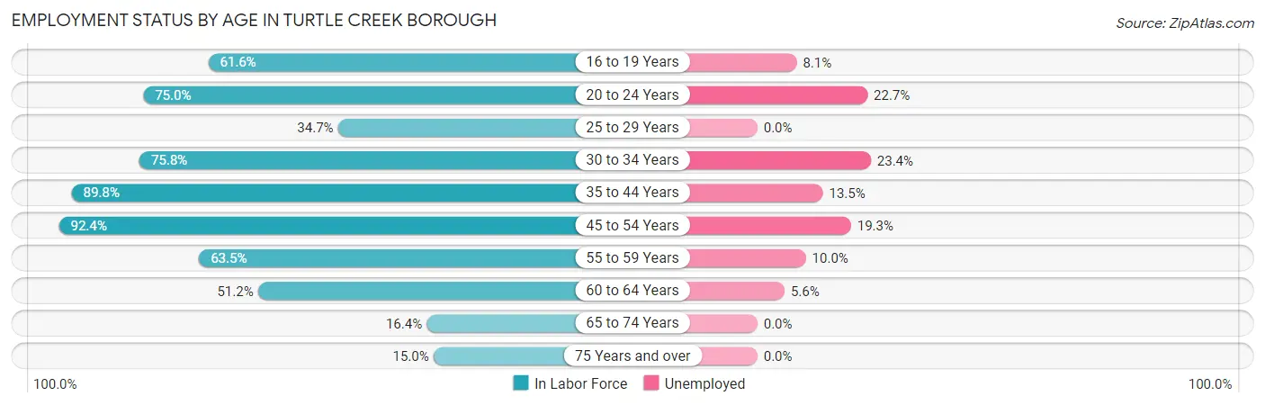 Employment Status by Age in Turtle Creek borough