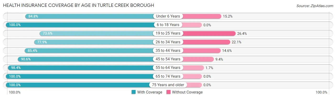 Health Insurance Coverage by Age in Turtle Creek borough