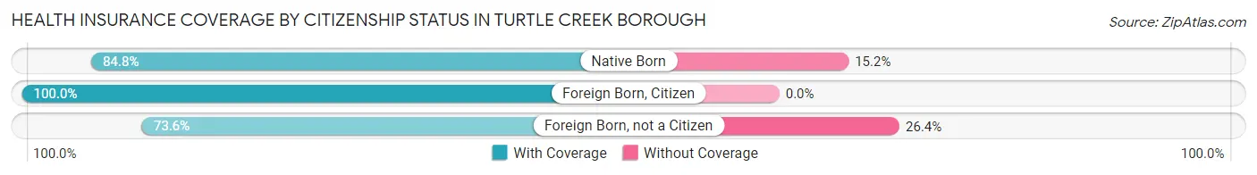 Health Insurance Coverage by Citizenship Status in Turtle Creek borough