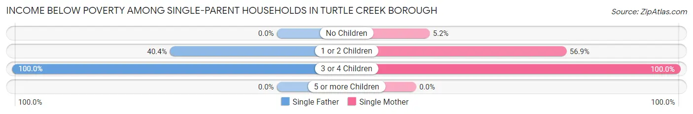 Income Below Poverty Among Single-Parent Households in Turtle Creek borough