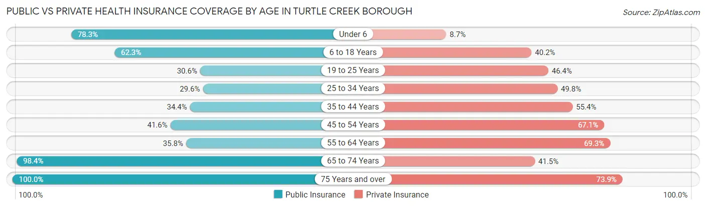 Public vs Private Health Insurance Coverage by Age in Turtle Creek borough