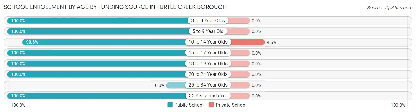 School Enrollment by Age by Funding Source in Turtle Creek borough