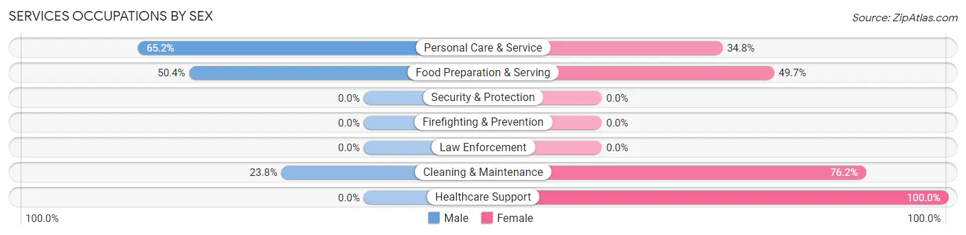 Services Occupations by Sex in Turtle Creek borough