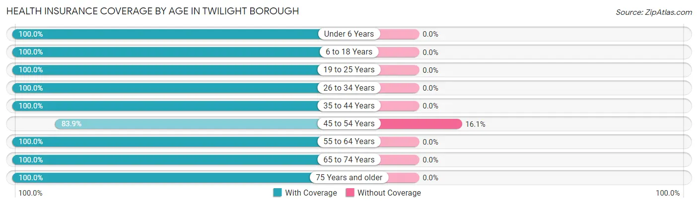 Health Insurance Coverage by Age in Twilight borough