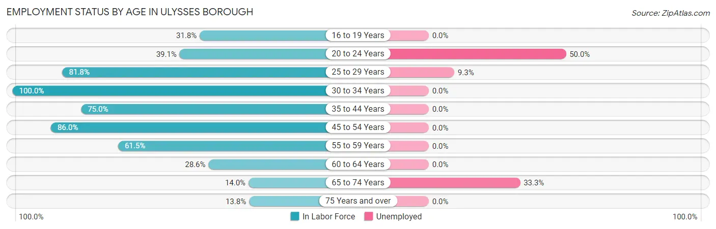 Employment Status by Age in Ulysses borough
