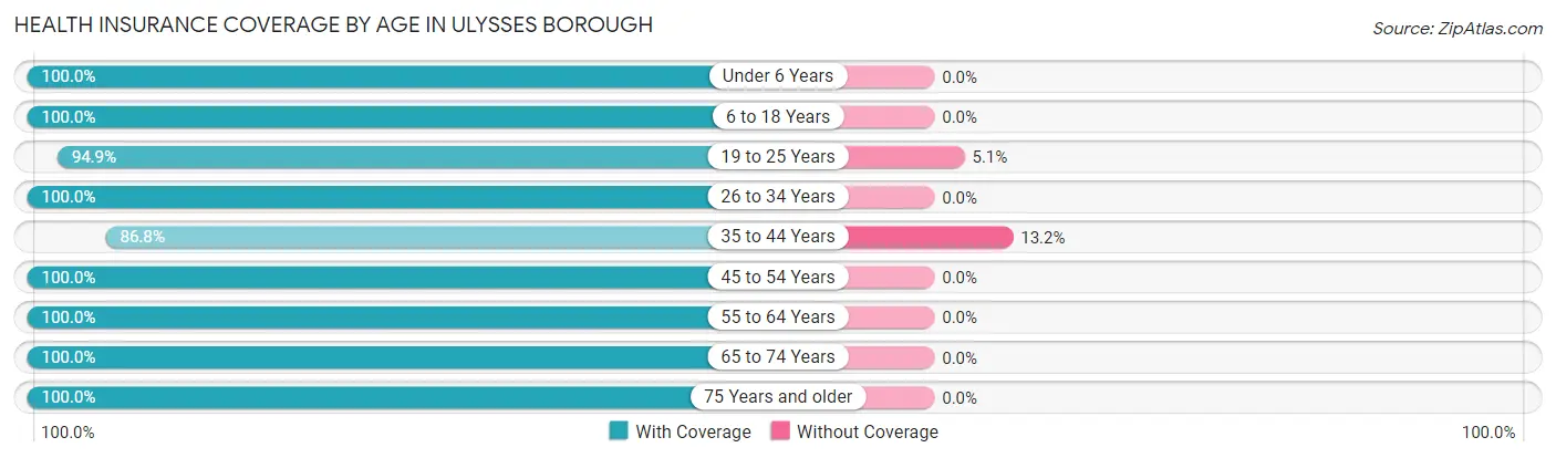 Health Insurance Coverage by Age in Ulysses borough