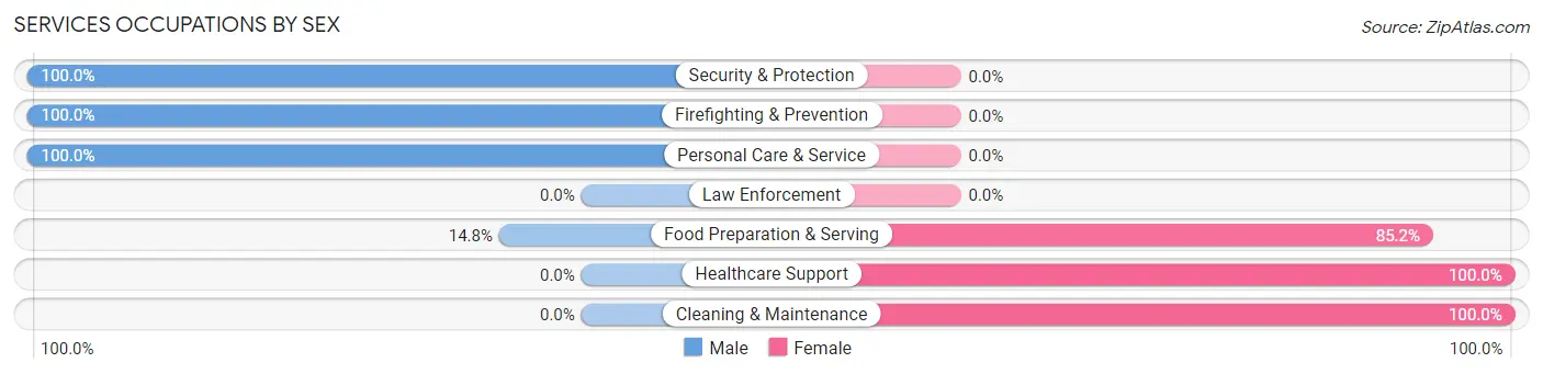 Services Occupations by Sex in Ulysses borough