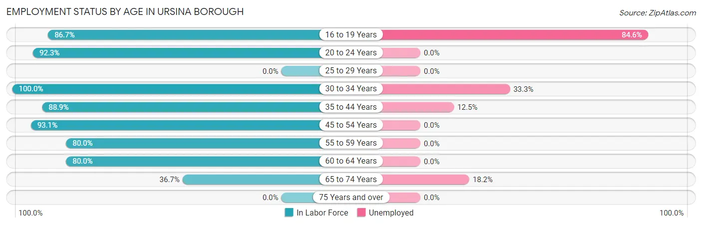 Employment Status by Age in Ursina borough