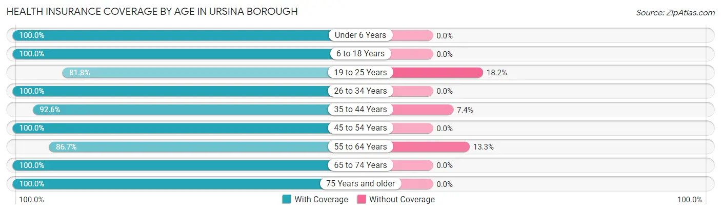 Health Insurance Coverage by Age in Ursina borough