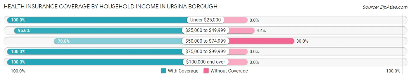 Health Insurance Coverage by Household Income in Ursina borough
