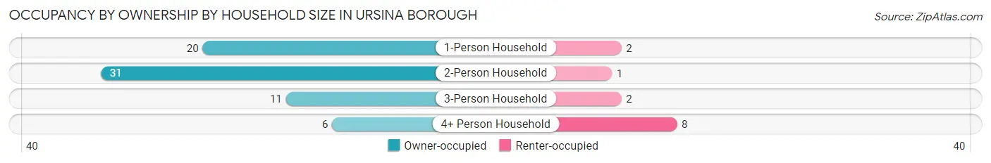 Occupancy by Ownership by Household Size in Ursina borough
