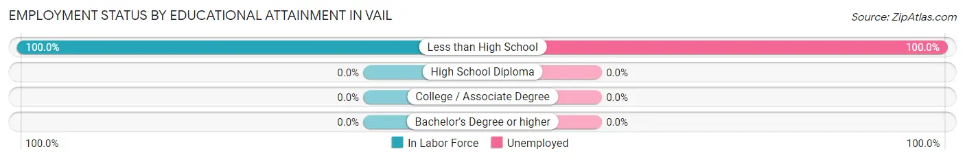 Employment Status by Educational Attainment in Vail
