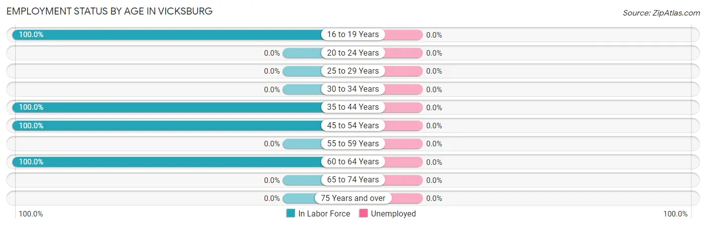 Employment Status by Age in Vicksburg